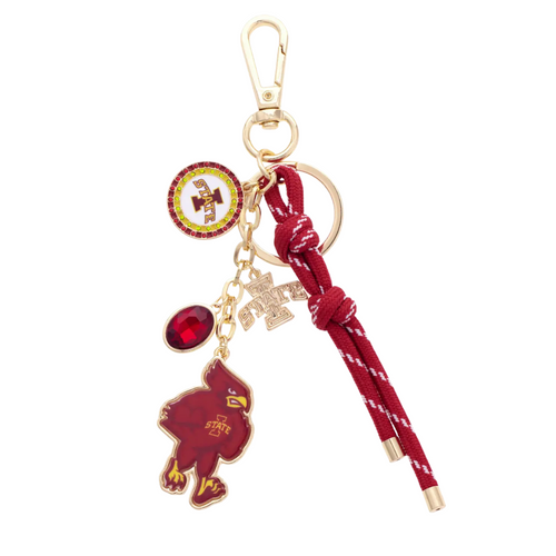 Show off your Cyclones pride with this playful Iowa State Cyclones Cluster Bag Charm. Perfect for adding a fun, spirited touch to your backpack, purse, or game day gear. Lightweight and colorful, it’s an easy way to carry your team spirit wherever you go!