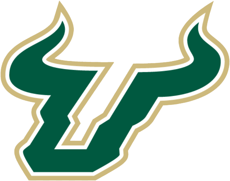 SOUTH FLORIDA BULLS
